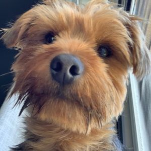 Meet your Posher, Maya